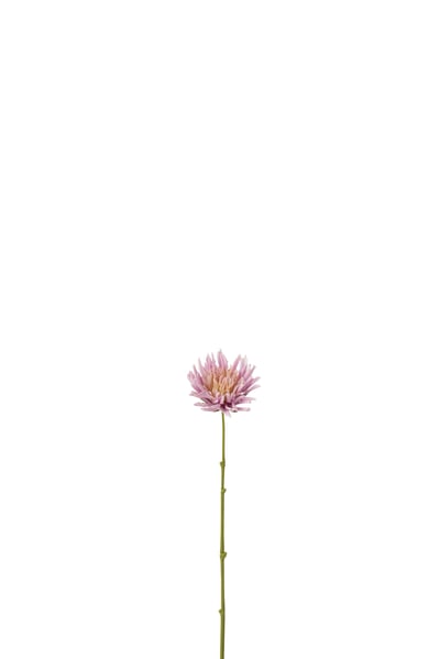 Chrysant mini plastiek wit licht paars
