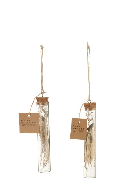Hangende buizen met gedroogde bloemen glas naturel assortiment van 2