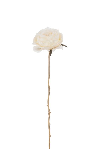 Roos 1 stengel plastiek crème/goud