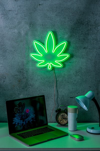 Neonverlichting blad - Wallity reeks - Groen 