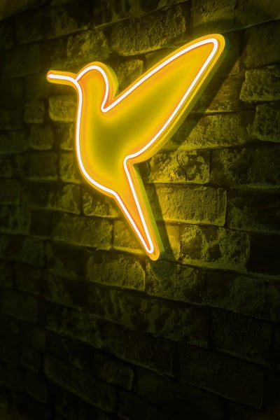 Neon Graph Decoratieve kunststof ledverlichting | Geel | 40 x 36 x 2 cm Neon Graph Decoratieve kunststof ledverlichting | Geel | 40 x 36 x 2 cm