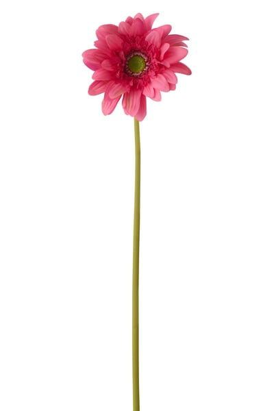 Gerbera echt gevoel stof roze