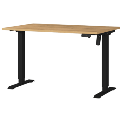 Elektrisch verstelbaar bureau Ergoflex - 120x80x120cm - eikdecor/zwart Elektrisch verstelbaar bureau Ergoflex - 120x80x120cm - eikdecor/zwart