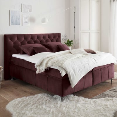 Boxspring Pemberley 160x200cm - aubergine Boxspring Pemberley 160x200cm - aubergine