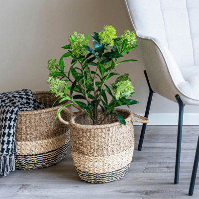 Groene Skimmia Boom - 75 cm | Kunstmatig PE plastic Groene Skimmia Boom - 75 cm | Kunstmatig PE plastic