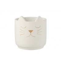 Bloempot kat cement wit goud large