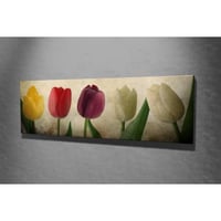 Vega Decoratief canvas schilderij | Houten lijst | 30 x 80 cm