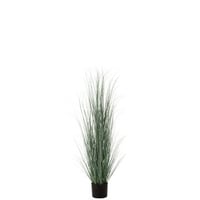 Grassen in pot plastiek blauw/groen large