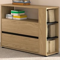 Commode Nael - 94x40x82cm - 2 lades & 4 open vakken - eikdecor/zwart