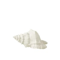 Zeeschelp polyresine wit Zeeschelp polyresine wit