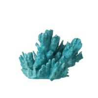 Koraal polyresine azuur l