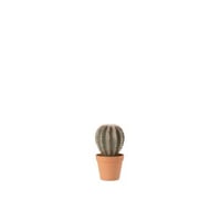 Cactus bolvormig+pot kunststof groen/terracotta large