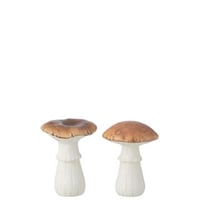 Paddenstoel porselein wit/bruin large assortiment van 2