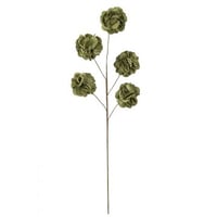 Bloem tak 5 pompoms eva groen