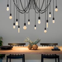 Nitid Kroonluchter | Metalen Behuizing | In Hoogte Verstelbaar | Zwart