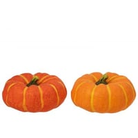 Pompoen herfst magnesium oranje/donkeroranje assortiment van 2