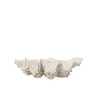 Sierschaal zeeschelp hars gebroken wit small