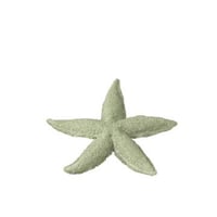 Zeester polyresin muntgroen small