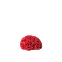 Koraal polyresin rood small