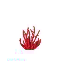 Koraal polyresin rood medium