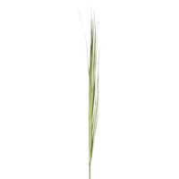 Tak grassen plastiek groen large