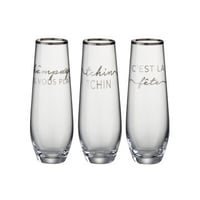 Drinkglas tekst frans rand glas transparant/zilver assortiment van drie