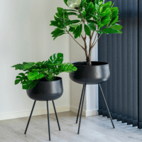 Zwart stalen bloempotten (set van 2)