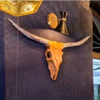 Deco Buffelkop - Bruin/Grijs Teakhout