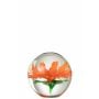 Presse papier aster rond glas transparant/rood large