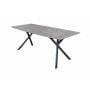 Eetkamertafel Alec 160x90 industrieel - beton