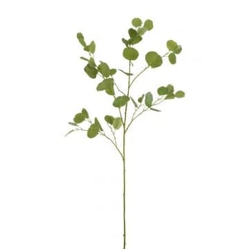 Eucalyptus tak plastiek groen