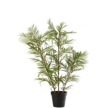 Bergpalm in pot plastiek groen/zwart large