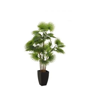 Palmboom fan in pot plastiek groen