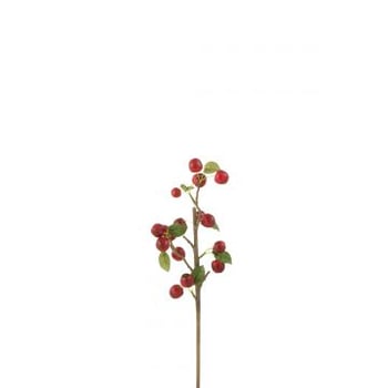 Tak bessen dik plastiek rood/groen small