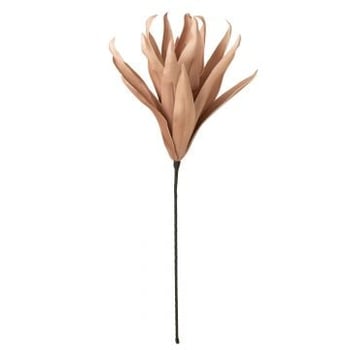 Bloem tak lange bladeren 1 kop eva nude roze