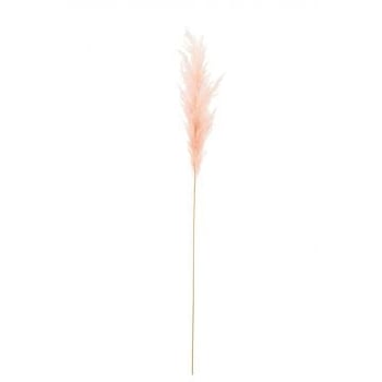 Tak pluim pampas licht roze