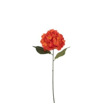 Hortensia sproeier kunststof rood