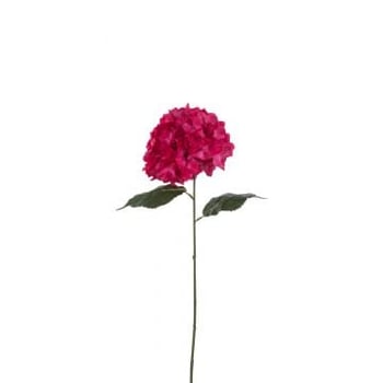 Hydrangea sproeier kunststof roze