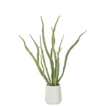 Vetplant in pot kunstmatig groen