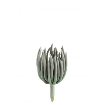 Echeveria plastiek mat groen