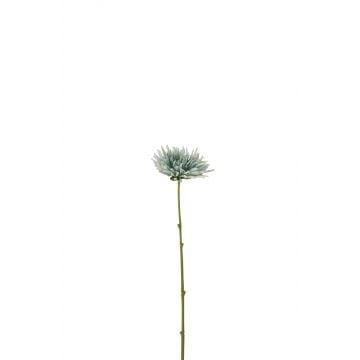 Chrysant mini plastiek wit licht blauw