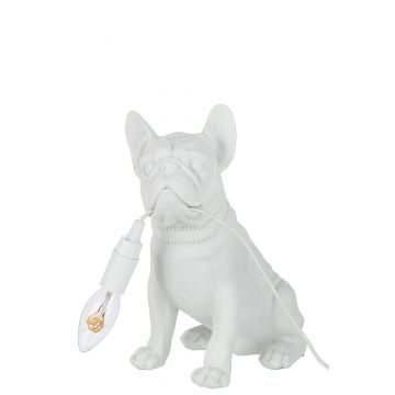 Lamp bulldog poly wit