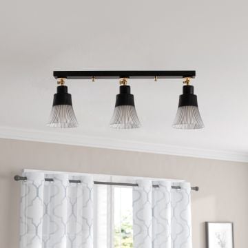 Kroonluchter Noor | Metalen behuizing | Glazen kap | Zwart
