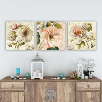 Remy Decoratief Canvas Schilderijenset | 100 ANVAS | 3 Stuks, Veelkleurig