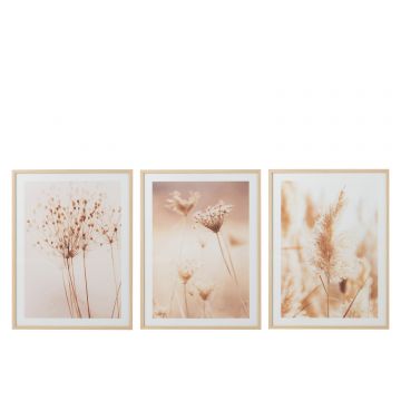 Kader bloemen natuur mdf/glas beige/wit assortiment van drie