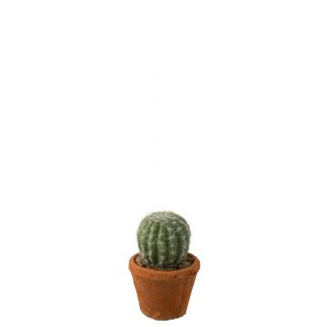 Cactus rond in pot plastiek groen