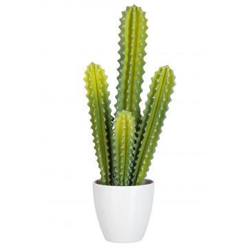Cactus 5delig groen