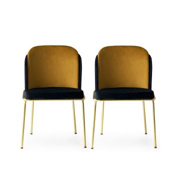 Stijlvolle 2-delige stoelenset | Bekleed met fluweel | 100% metalen frame | Zwartgouden kleur