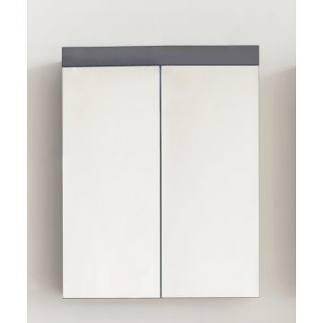 Spiegelkast Amanda | 60 x 17 x 77 cm | Agave Grey